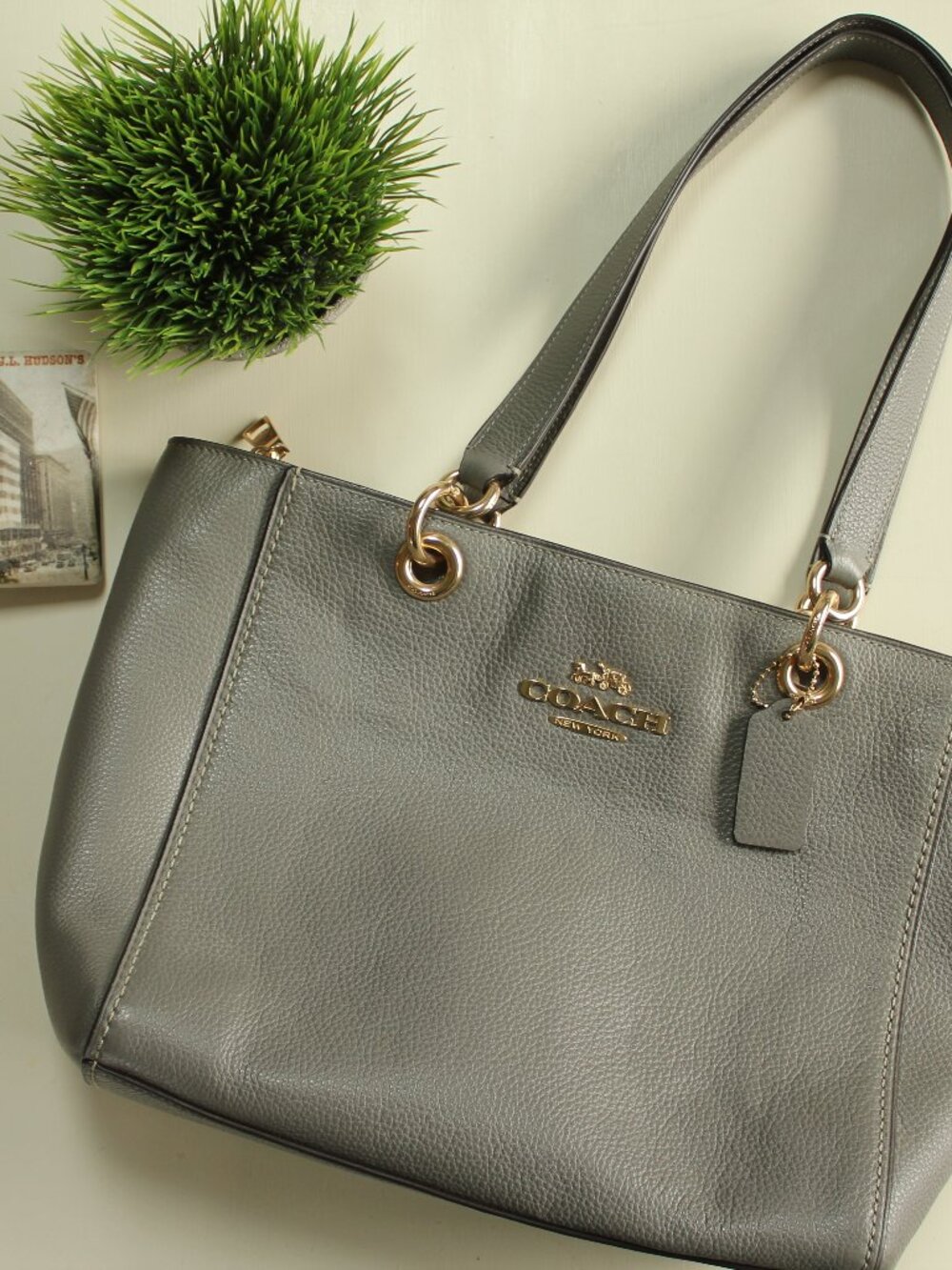 Coach Jes Tote Bag